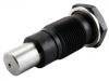 Chain Adjuster:06H 109 467 AJ
